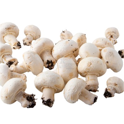 Шампиньоны свежие 500 г - купить в Якше